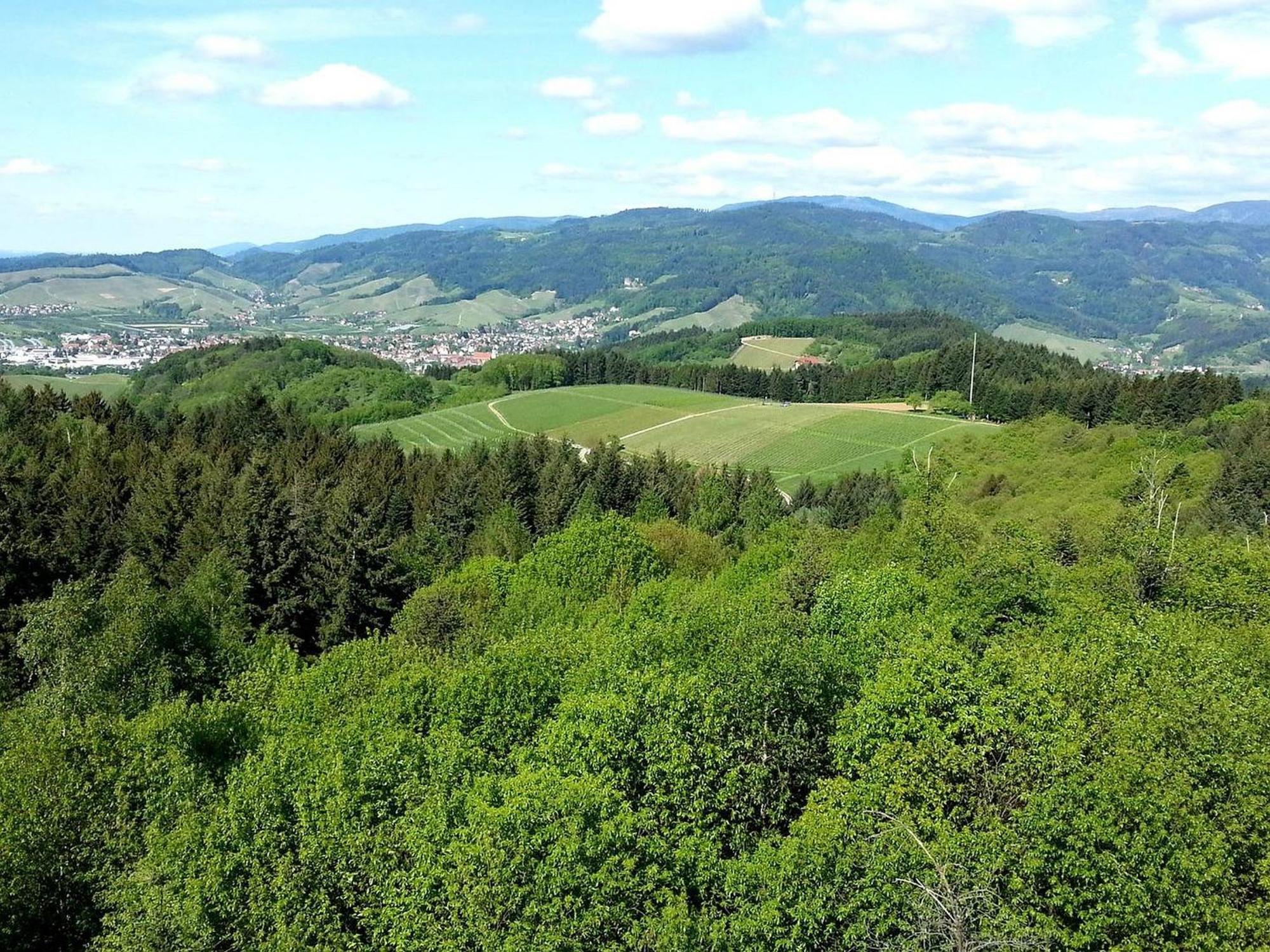 Ferienhof Vordere Alm Oberkirch  Exterior foto