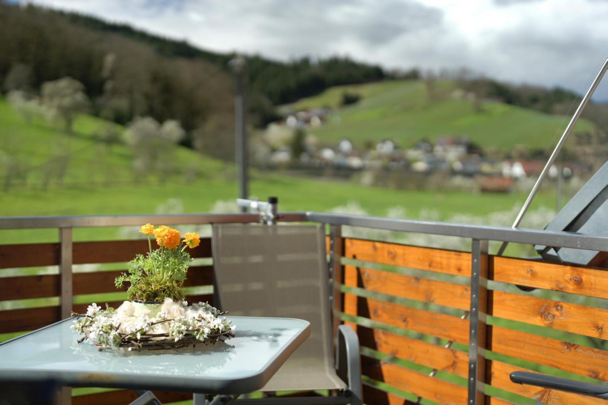 Ferienhof Vordere Alm Oberkirch  Exterior foto